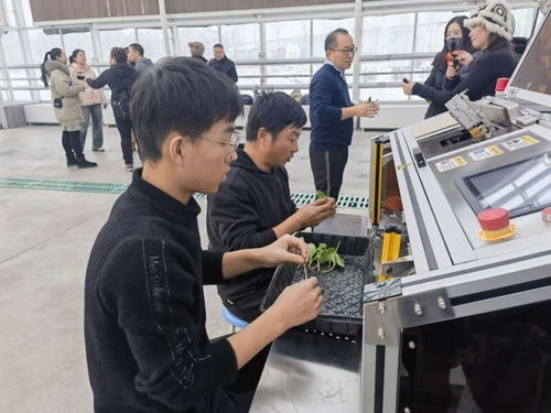 追著雪花看新疆 農業博覽園中的高科技植物工廠