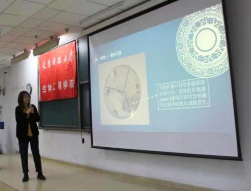 當科學遇見藝術 第五屆微生物培養皿藝術大賽校園賽天津科技大學站精彩呈現